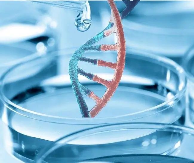 50亿的无锡市生物医药产业基金 意味着什么？